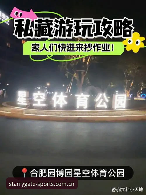 星空体育平台功能详解与使用指南
